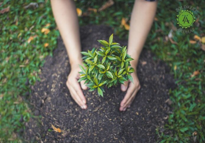 Növényvédőszer webáruház